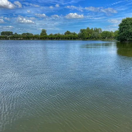 Du Du Palentin * Ardres