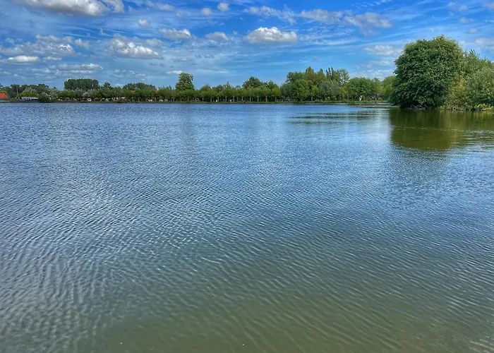 Du Du Palentin * Ardres